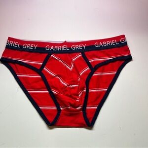 Men's Red Briefs Gabriel Grey